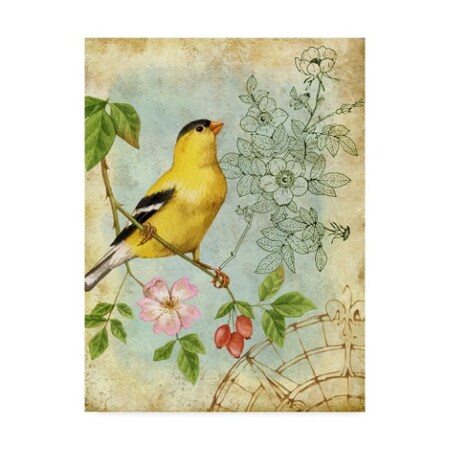 Trademark Fine Art Jane Maday 'Songbird Sketchbook Iii' Canvas Art, 24x32 WAG03308-C2432GG